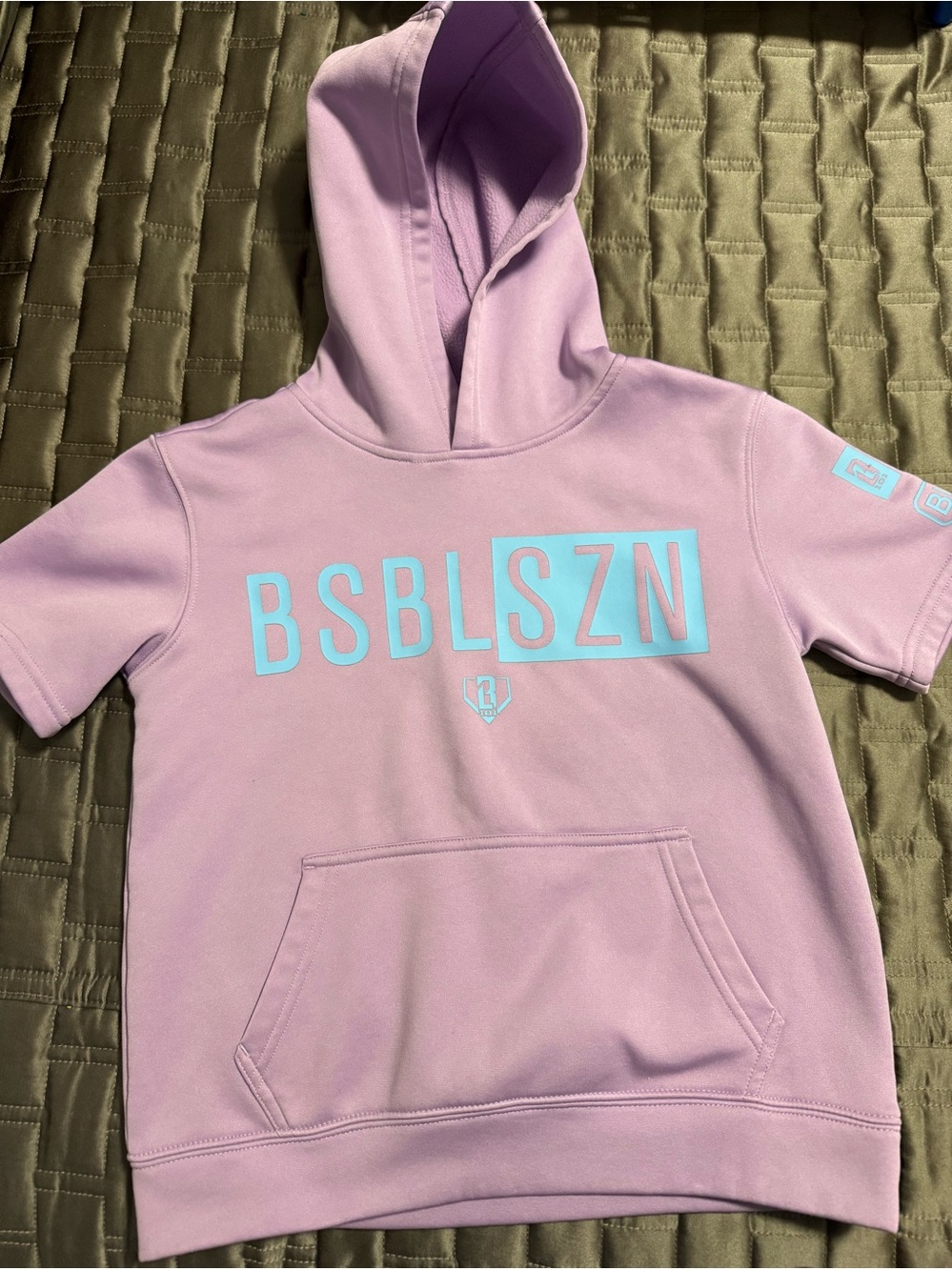 Baseball Lifestyle 101BSBLSZN Kids' Short-Sleeve Hoodie - Lavender with Aqua Log